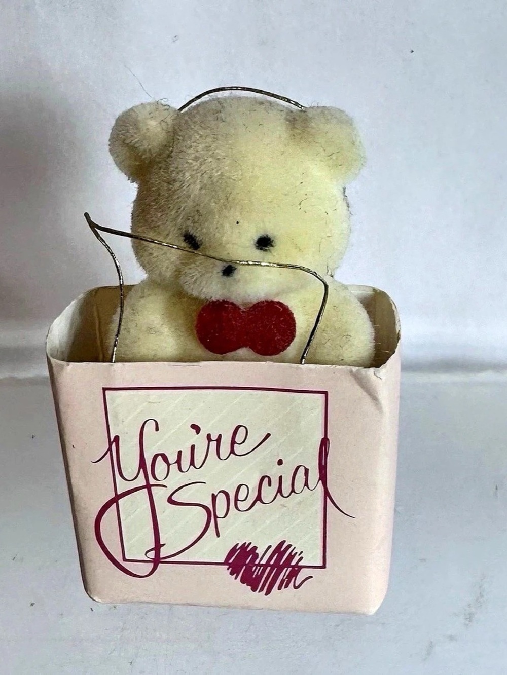 Miniature Flocked Teddy Bear In Shopping Bag You’re Special Mini Teddy Bear